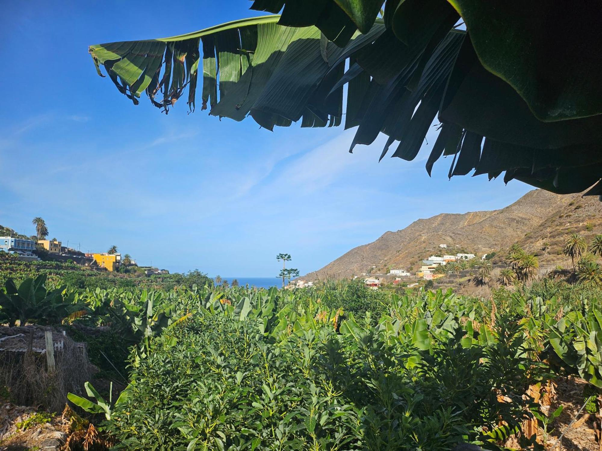 Casa Erika Villa Hermigua Dış mekan fotoğraf